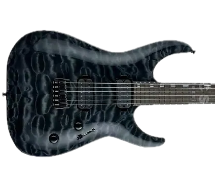 ESP LTD H-1001